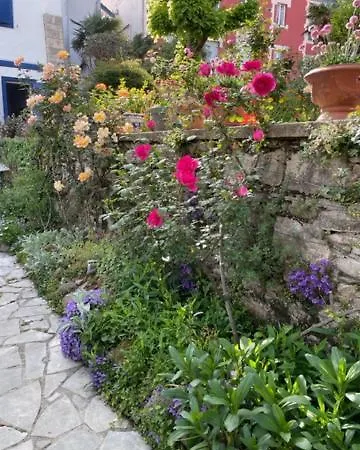 Ohartzia سان جان دو لوز